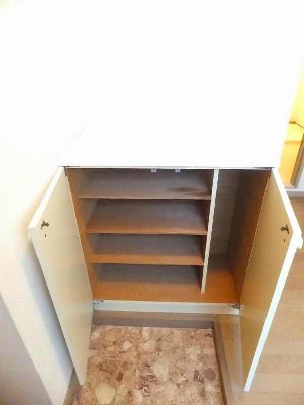 Shibata　BLD シューズBOX