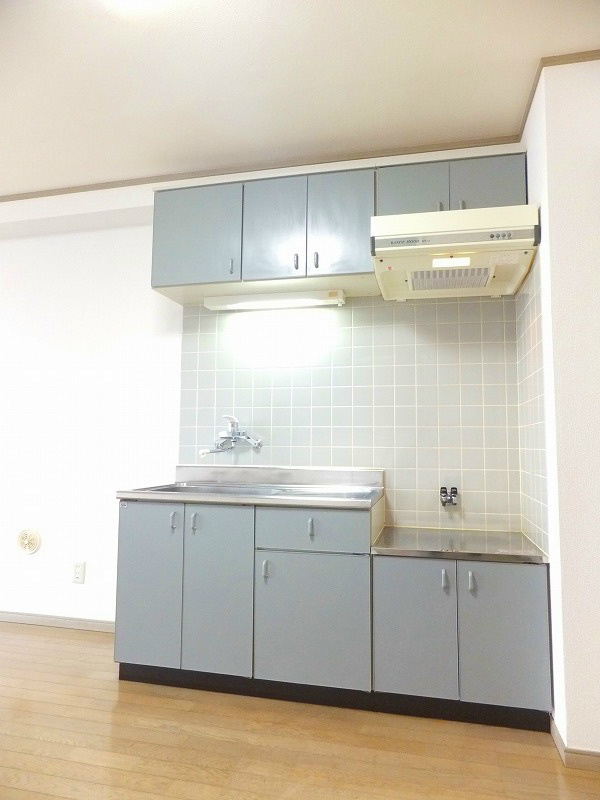 Shibata　BLD 人気のガスキッチン