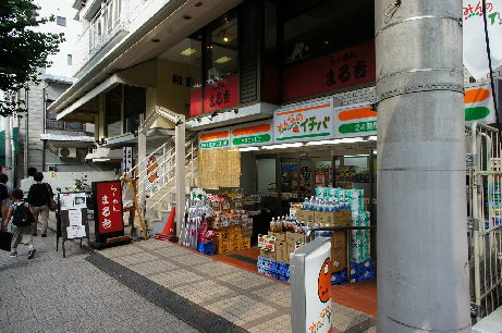 ヒルズ尾山台 コンビ二：99ｲﾁﾊﾞ世田谷尾山台3丁目店　518m