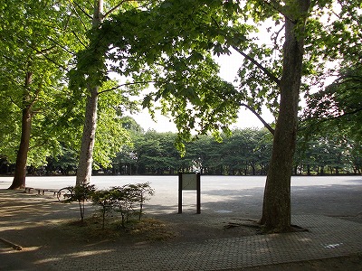Maison　Meirin 公園：都立林試の森公園　238m