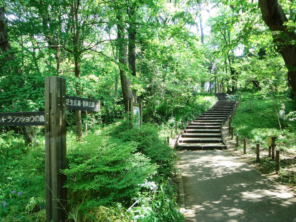 ハイツニューホープ 公園：都立林試の森公園　142m