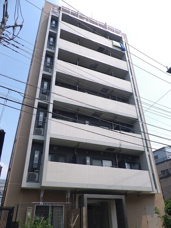 IMGP3596.jpg