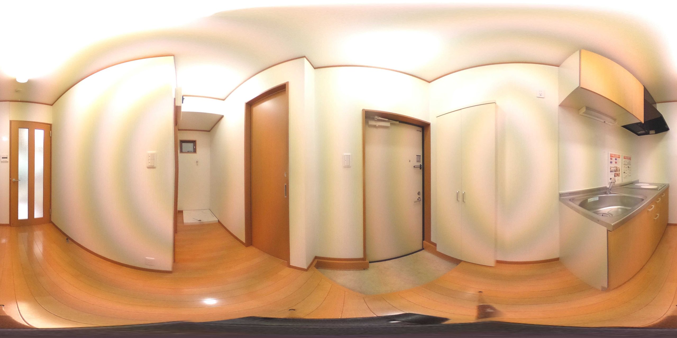 559555524.944676.jpg