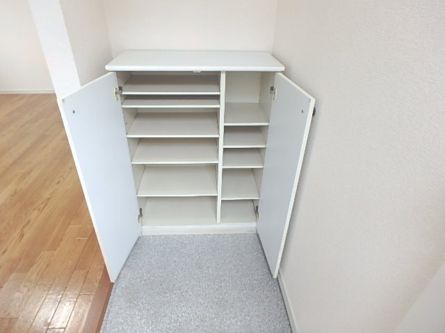 アーリーリバー シューズボックス