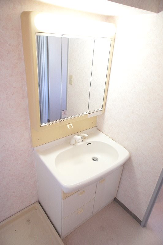 MAISON　TSUTSUI シャンプードレッサータイプの洗面台