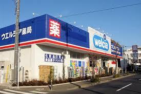 LEVEL.M(レベル・エム) ドラッグストア：ウエルシア世田谷砧店　317m